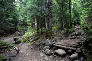 Path to Tabletop (straight) and Indian Falls/Marcy (right)
