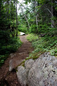The Beckhorn Trail
