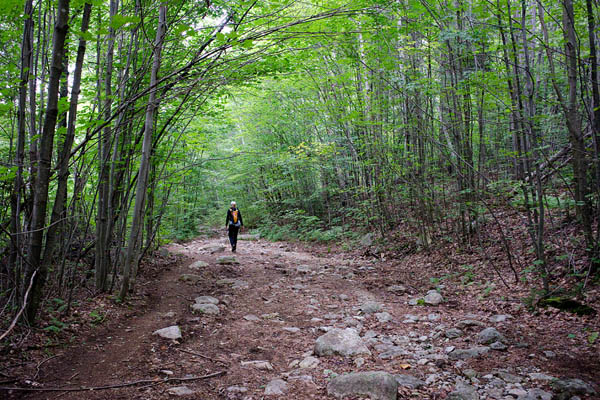 On the trail to Dix Mountain