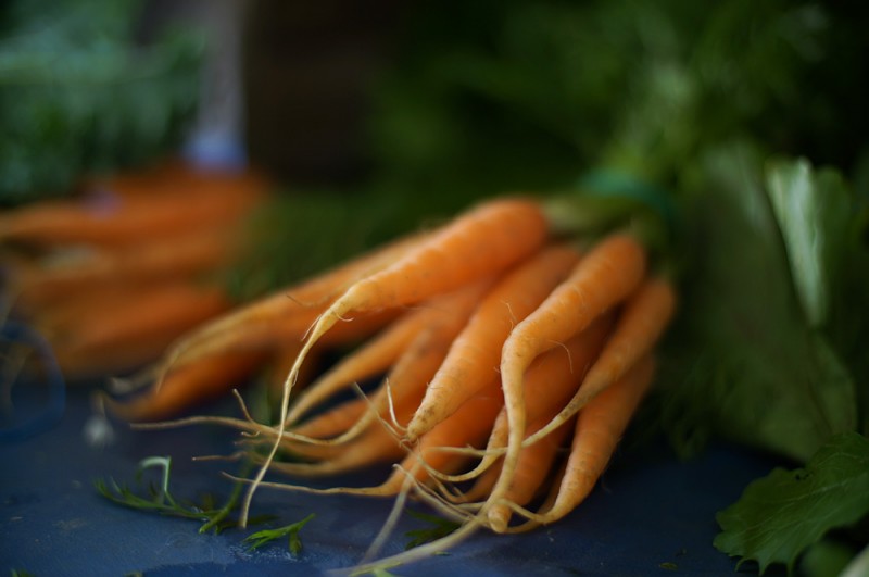Carrots at the Keene Valley farmer's market