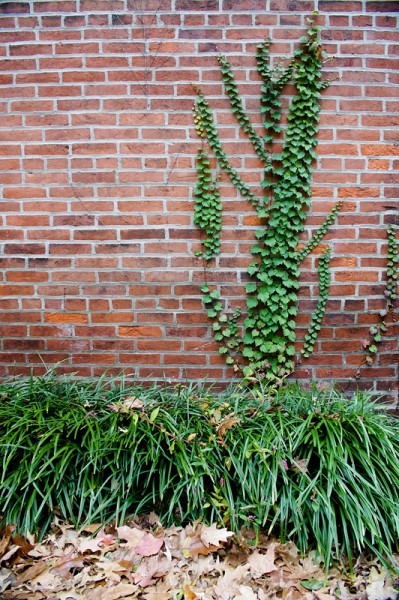 West Chester Alley Wall