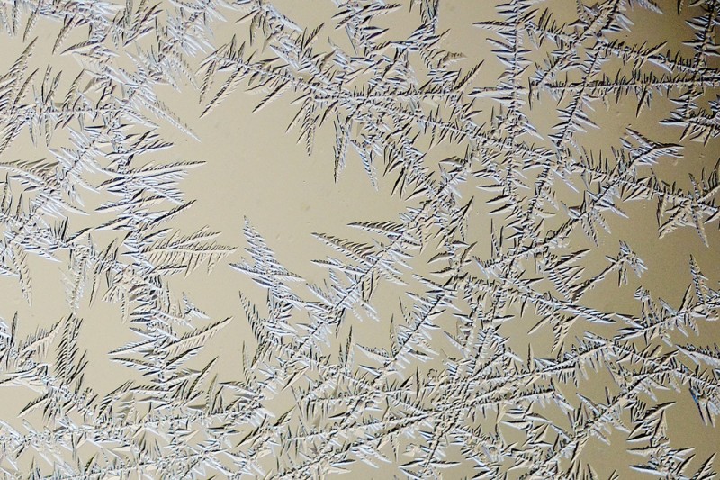 Ice Crystals with Sony NEX6 and Nikkor AF 200mm f4 macro/Metabones adapter