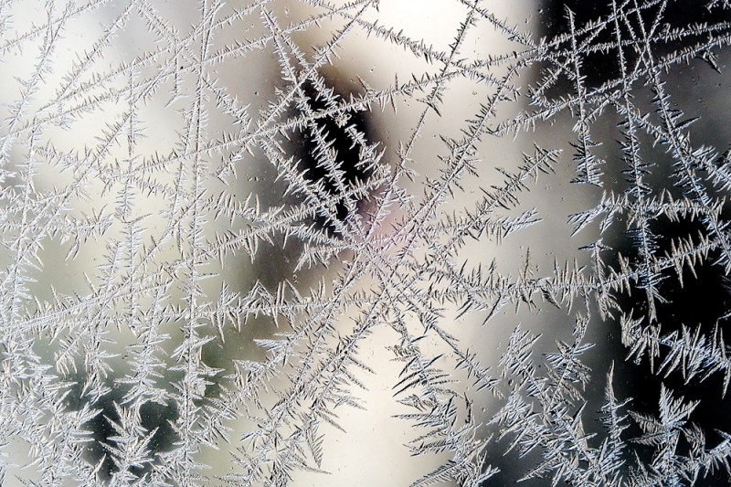 Ice Crystals with Sony NEX6 and SMC Takumar 100mm f4 macro/Lens Turbo adapter