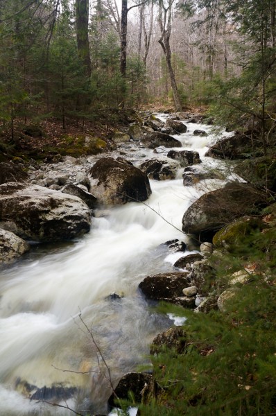 Flowing Gill Brook.