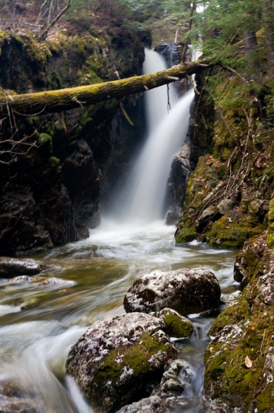 Waterfalls along the Gill Brook.