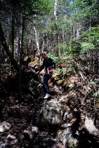 Descending Phelps