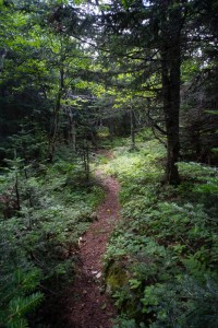 Ridge Trail on Porter Mountain
