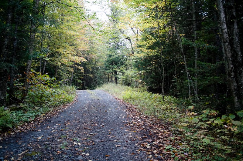 The access road
