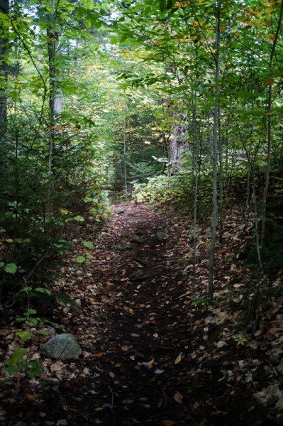Blue Trail to Bradley Pond