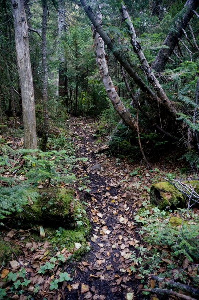 Part of the excellent Santanoni Express trail
