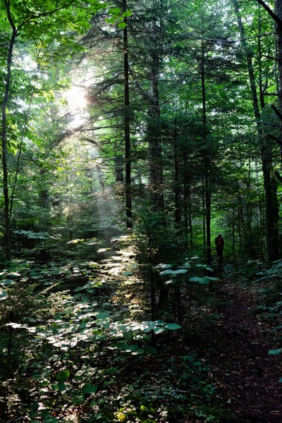 Turning up the Calkins Brook path